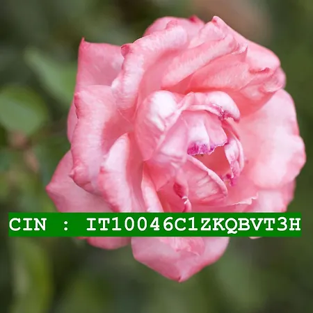 Olimpo Bed & Breakfast 3*